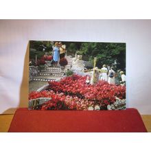 SHELL GARDENS, MONT LES VAUX, ST. BRELADE, JERSEY unused postcard by Jarrold e =