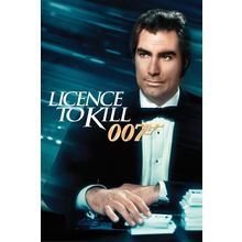 Licence to Kill 4 Art Gallery Poster Canvas Print Wall Decoration A0 A1 A2 A3 A4