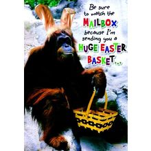 Be Sure to Watch the Mailbox - Easter Greeting Card - 22882