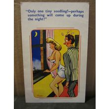 SAUCY SEASIDE POSTCARD 1961 pm humour Coastal Cards no 730 by Trow.. seedling #