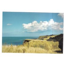 BISHOPSTONE GLEN, RECULVER COUNTRY PARK, KENT unused postcard =