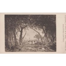 Rousseau Glade In The Forest Of Fontainebleau Wallace Antique Painting Postcard