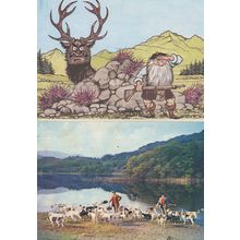 Deer Stalker Stalking Animal Hunting Comic Postcard & More