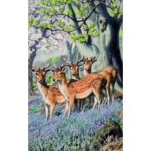 Forest Deer Beneath A Beech Tree Old Childrens Ladybird Book Postcard