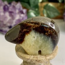 Geode Septarian Nodule Bear Figurine Carved Zuni Style Dragon Stone Carving 2"
