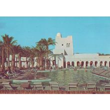Algeria Hotel Touggourt Piscine Oasis Postcard
