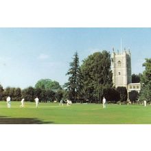 Cricket Match at Dedham Church Colchester Essex Limited Edition of 1000 Postcard