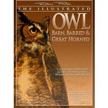 Illustrated Owl - Denny Rogers