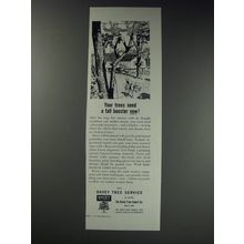 1963 Davey Tree Service Ad - Your trees need a fall booster now!