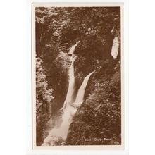 Stock Ghyll Force Waterfall Postcard RP Cumbria 436