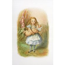The Pig Alices Adventures In Wonderland 1911 Book Postcard