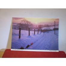 ST. JOHN'S, NEWTON TRACEY, DEVON unused postcard by Chris Bright =