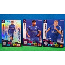 10x PANINI ADRENALYN LEICESTER CARDS