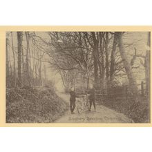 Stagbury Beeches Chipstead Bicycles Surrey Postcard
