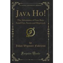 Java Ho!: The Adventures of Four Boys Amid Fire, Storm and Shipwreck