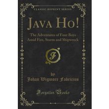 Java Ho!: The Adventures of Four Boys Amid Fire, Storm and Shipwreck