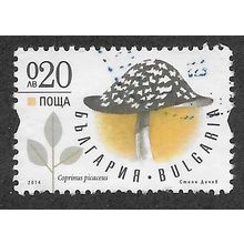 BUL 2014 20st 'FUNGI' FINE USED (EBID63-787)