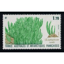 FSAT TAAF Elephant Grass 1988 MNH SG#232 MI#233