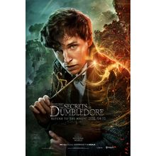 Fantastic Beasts_ The Secrets of Dumbledore (2022)_3 Movie Film Poster Canvas ic