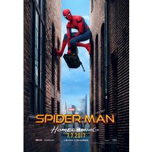 Spider Man Homecoming 6 Poster Canvas Movie Film Print A0 A1 A2 A3 A4 A5 A6 Art