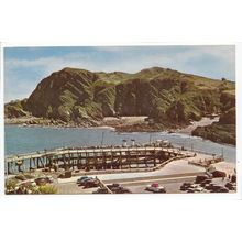 Pier and Hillsborough Hill Ilfracombe Devon Postcard 1565