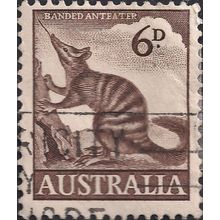 AUSTRALIA, MAMMALS, Banded Anteater, brown 1960, 6d