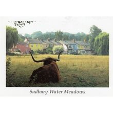 Sudbury Suffolk Water Meadows Postcard