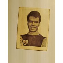 A&BC gum footballer picture card #28 Alex elder