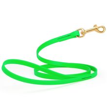 Dog Pet Leash with Brass Hardware W 1/2” L 4 FT Tropical Green