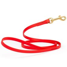 Dog Pet Leash with Brass Hardware W 1/2” L 4 FT Cherry Red