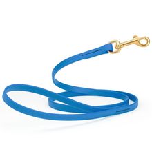 Dog Pet Leash with Brass Hardware W 1/2” L 4 FT Cerulean Blue