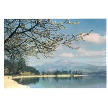 BEN LOMOND, LOCH LOMOND from Luss SCOTLAND unused postcard J.Arthur Dixon 3415 =