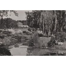 Jardin Botanique Geneve Swiss 1950s Real Photo Postcard