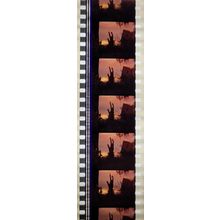 VAMPIRES. Pk MTP - A002b. 1 STRIP OF 5 - 35MM FILM CELLS. MTP
