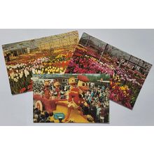 Postcards Skegness multiviews. Job lot Multiview postcards of Skegness. Good c