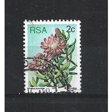 SouthAfrica.SG415 2c Protea Punctata.Fine Used.Sep25j