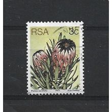 SouthAfrica.SG416 3c Protea Neriifolia.Fine Used.Sep25e
