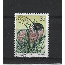SouthAfrica.SG416 3c Protea Neriifolia.Fine Used.Sep25k