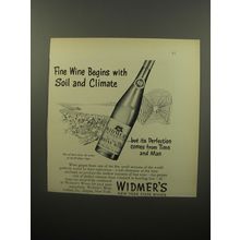 1950 Widmer's Rhine Wine Ad - Fine Wine begins with soil and climate