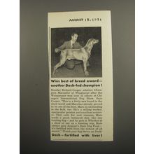 1951 Armour Dash Dog Food Ad - Weimaraner Dog - Wins best of breed award