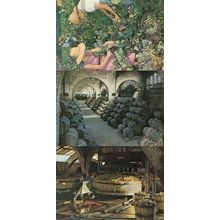 Cavas Codorniu Wine Making Picking & Pressing The Grapes 3x Italy Postcard