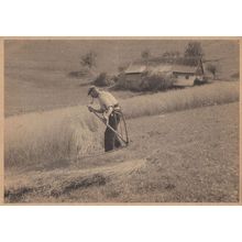 Berlin German Farmer Smoking Pipe in Hay Old Postcard