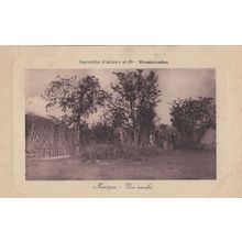 Angola Mossamedes Africa Um Sambo Antique Postcard