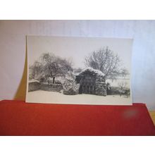 unknown winter garden scene unused postcard real photograph =