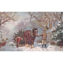 ED 62. HEAVY HORSE - HOLLY DAYS. PRINTED POSTCARD