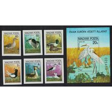Hungary Protected Birds 6v+MS IMPERF 1980 MNH SG#3340-MS3346