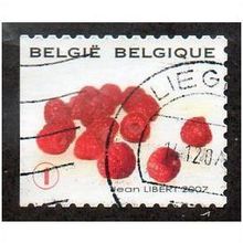 BEL 2007 (52c)(S/A) 'FRUIT- RASPBERRIES' FINE USED (EBID10401)
