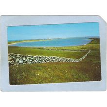 Rhode Island Block Island Meadow Scene~47