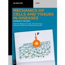 De Gruyter Stem Biomedical Methods