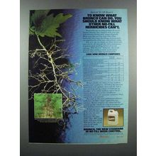1983 Monsanto Bronco Herbicide Ad - Know What Can Do